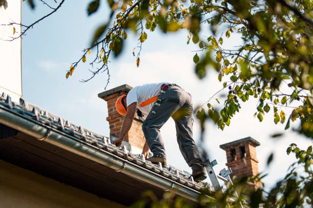 Best Roofing Contractor Near Me  in North Lakeport, CA